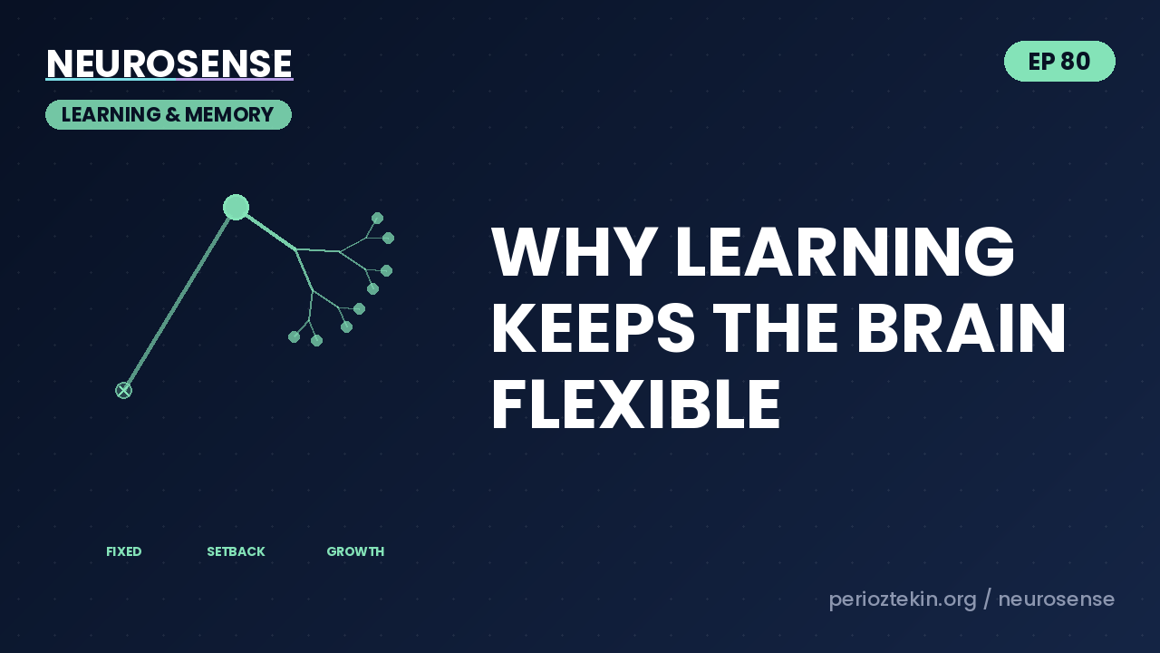 Why Learning Keeps the Brain Flexible