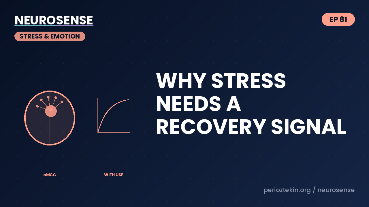 Why Stress Needs a Recovery Signal