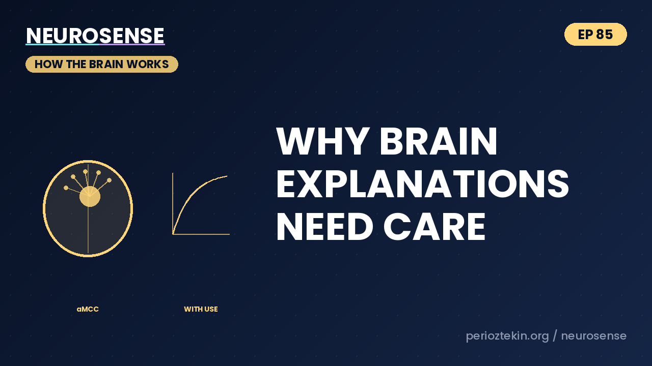 Why Brain Explanations Need Care