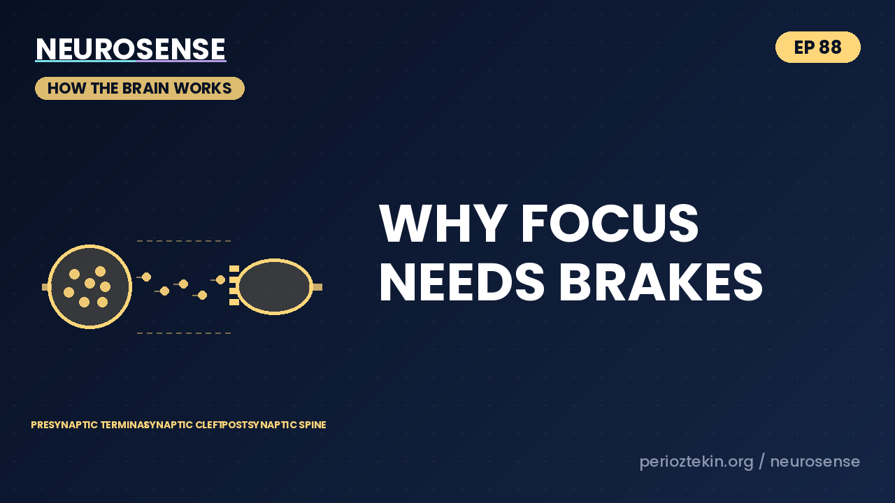 Why Focus Needs Brakes