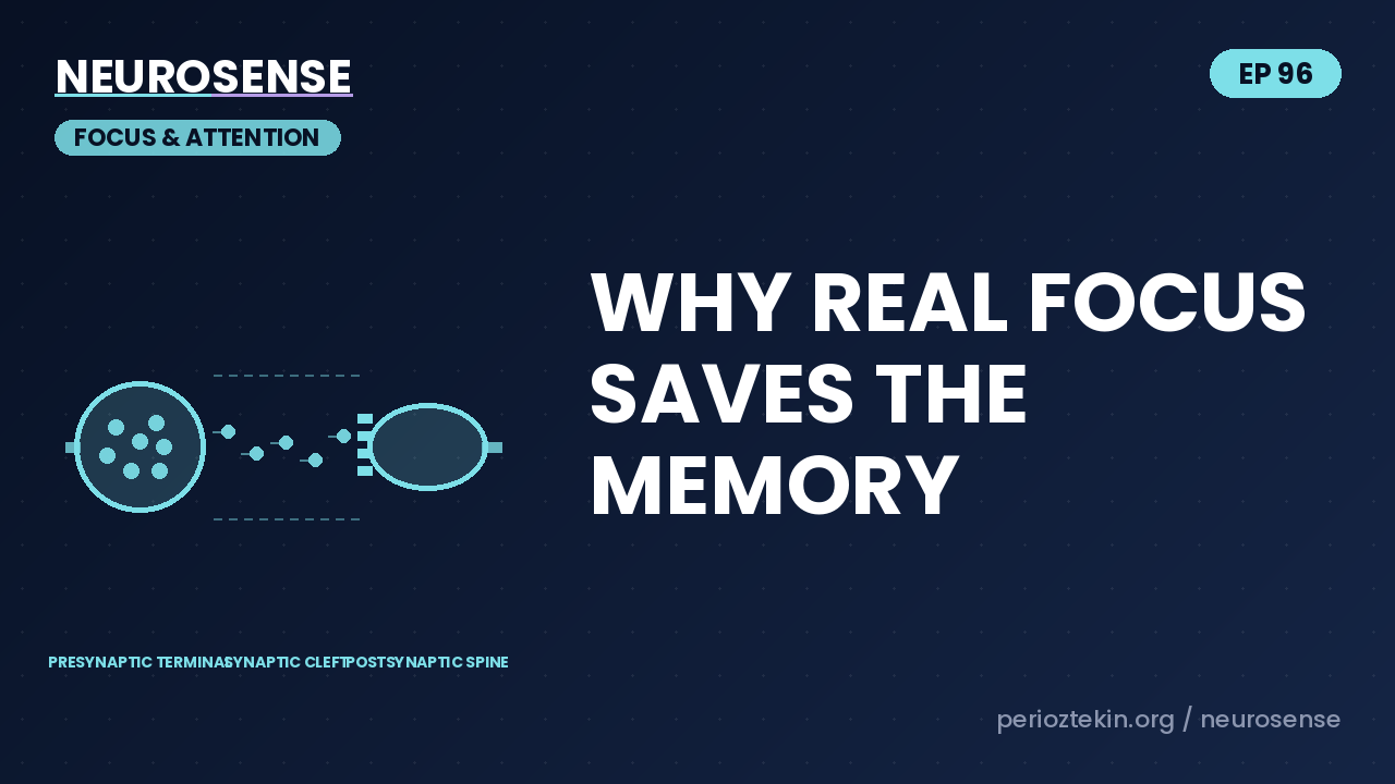 Why Real Focus Saves the Memory
