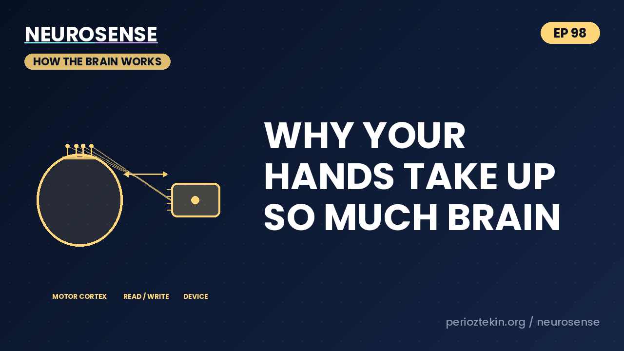 Why Your Hands Take Up So Much Brain